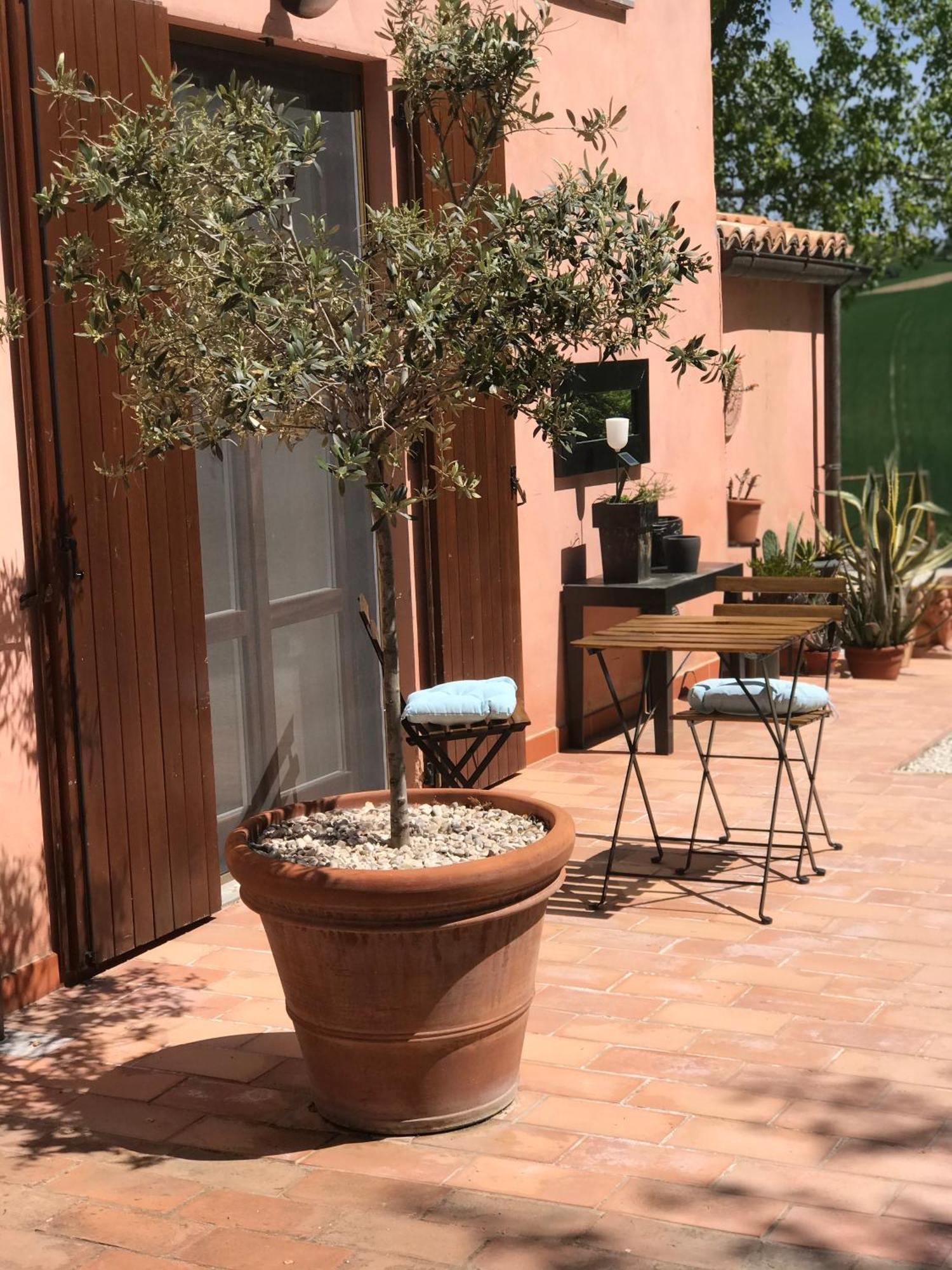 Santa Maria Nuova  Il Posto Perfetto Bed & Breakfast エクステリア 写真
