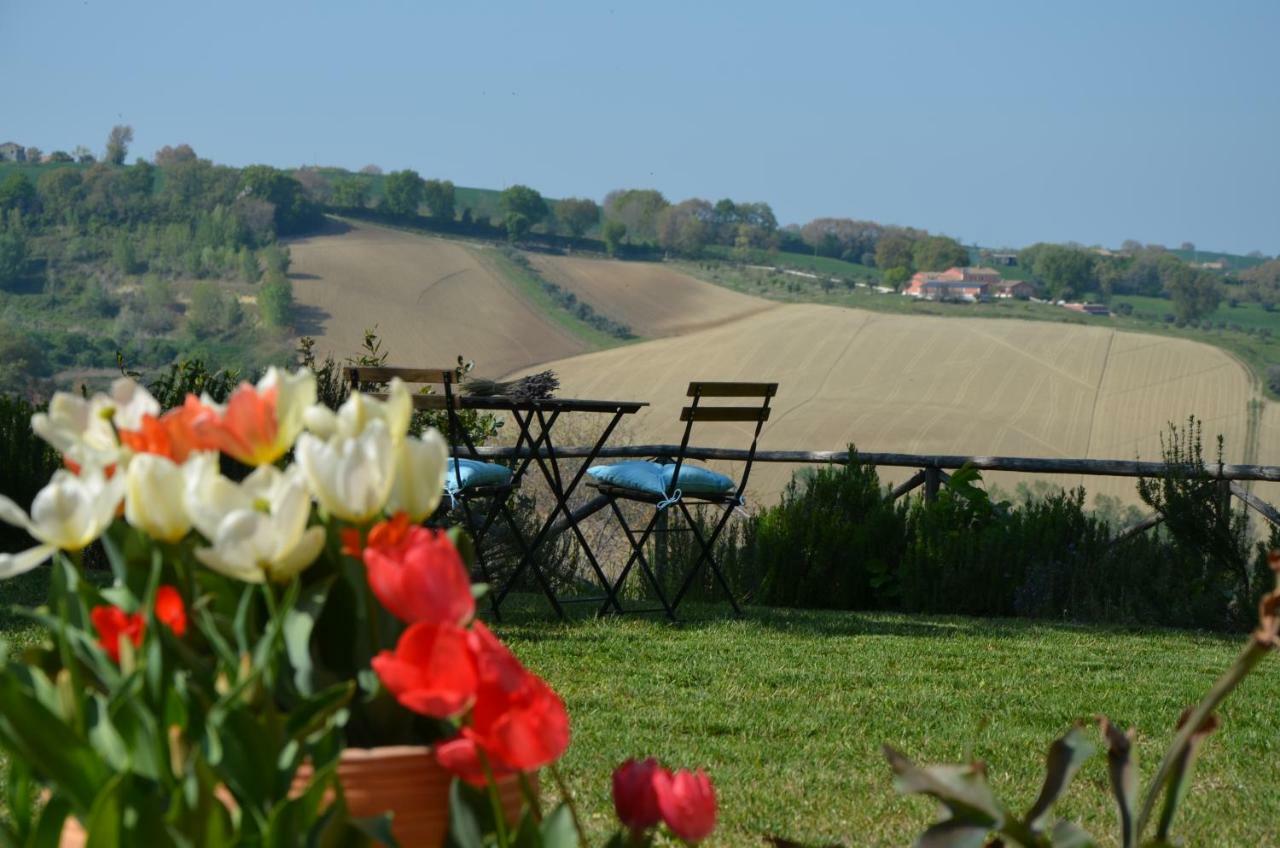 Santa Maria Nuova  Il Posto Perfetto Bed & Breakfast エクステリア 写真